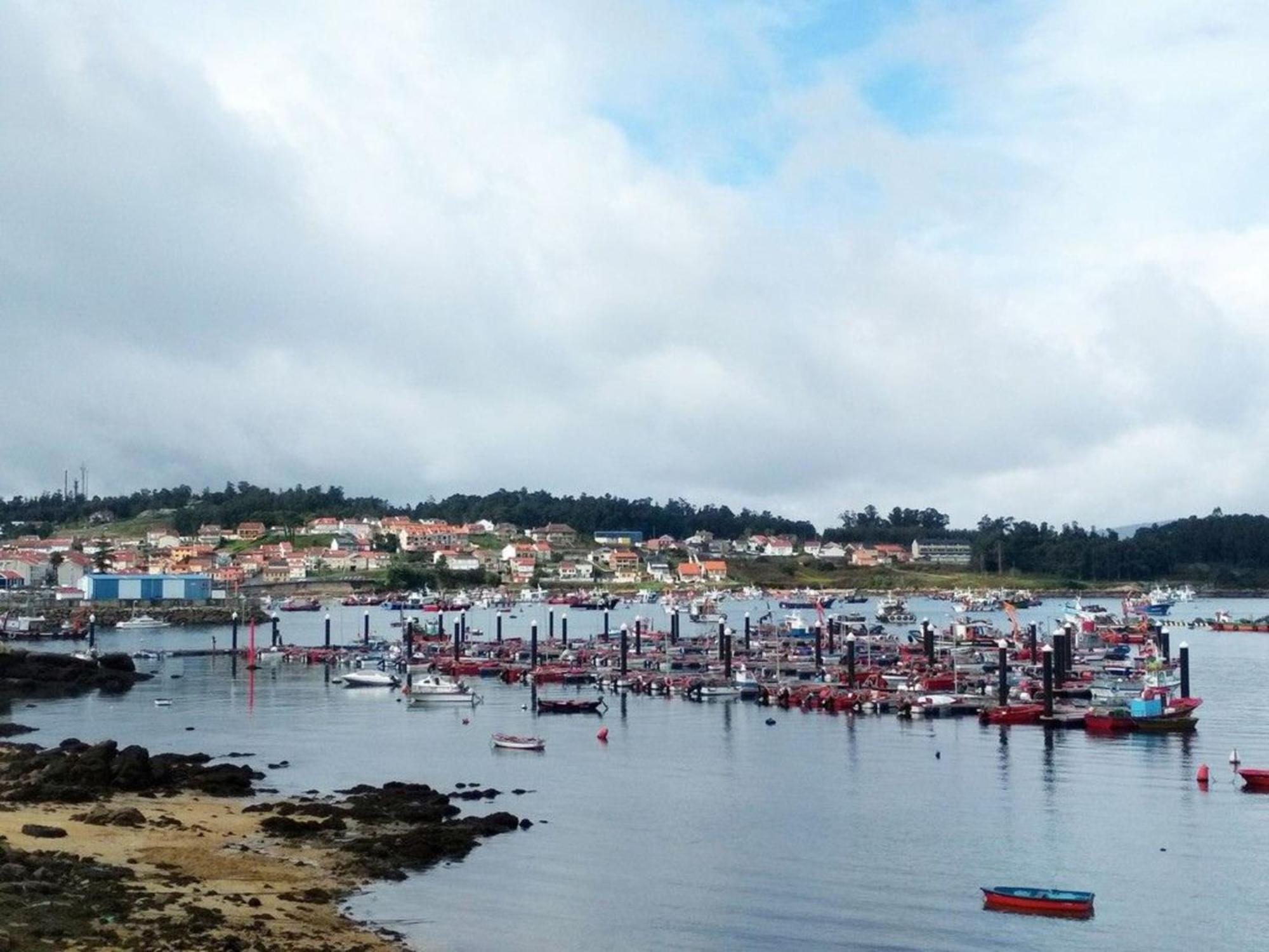 Complejo Tamanaco Illa De Arousa 3000 Dış mekan fotoğraf