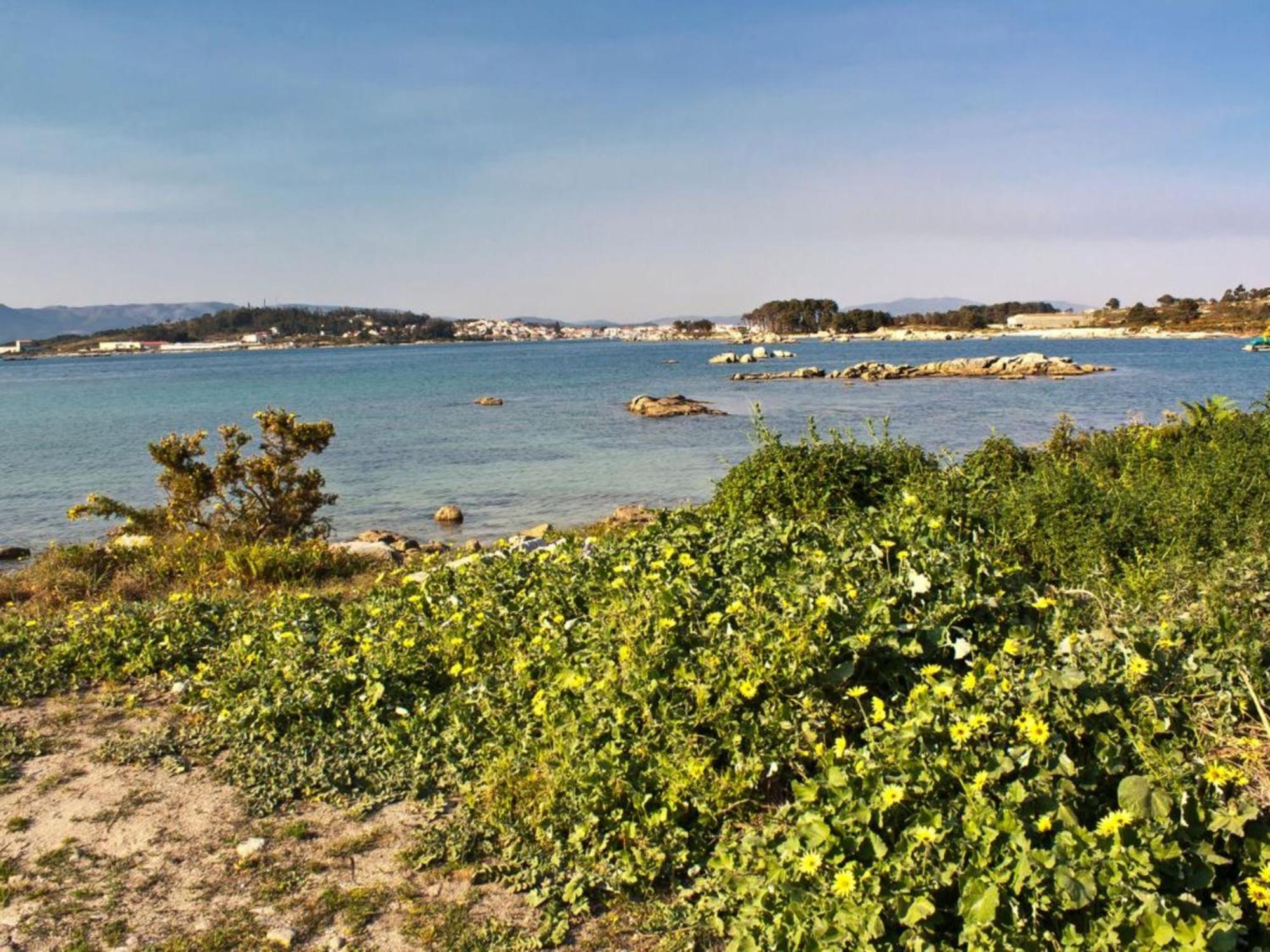 Complejo Tamanaco Illa De Arousa 3000 Dış mekan fotoğraf